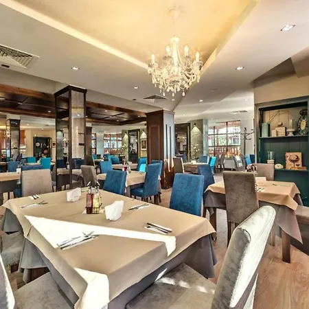 Exclusive And Paradise Stylish *