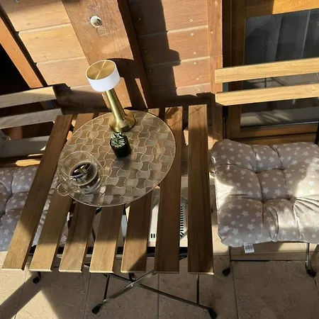 Exclusive And Paradise Stylish *