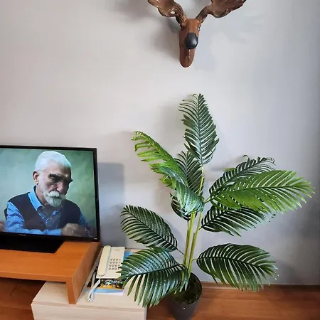 Exclusive And Paradise Stylish