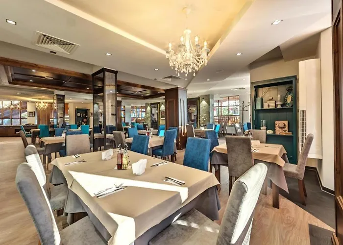 Exclusive And Paradise Stylish *