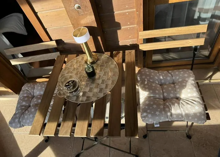 Exclusive And Paradise Stylish *